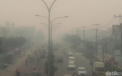 Tanggung Jawab Negara Kasus Kabut Asap